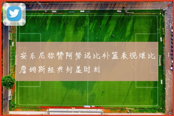 安东尼称赞阿努诺比补篮表现堪比詹姆斯经典封盖时刻